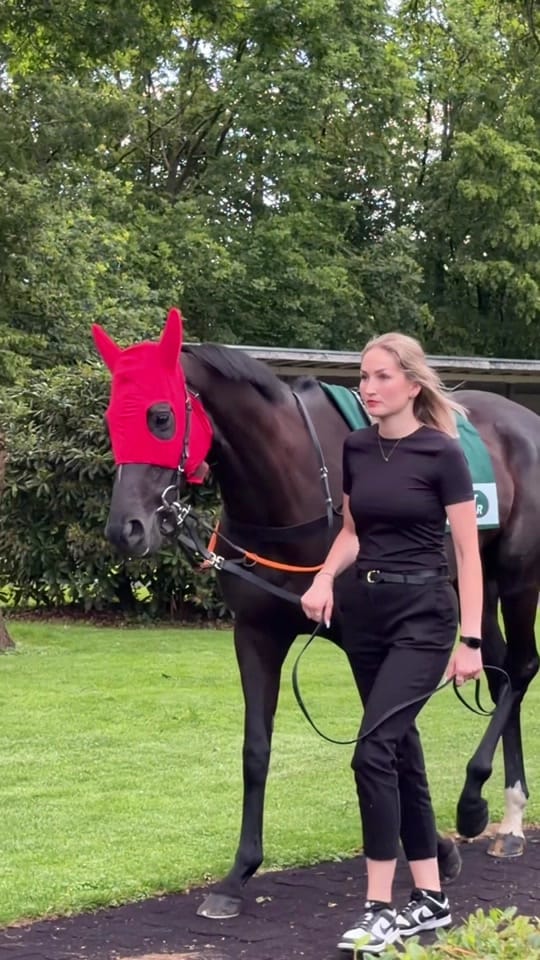 Post 3 by Laura | German Horseracing on TikTok (video)