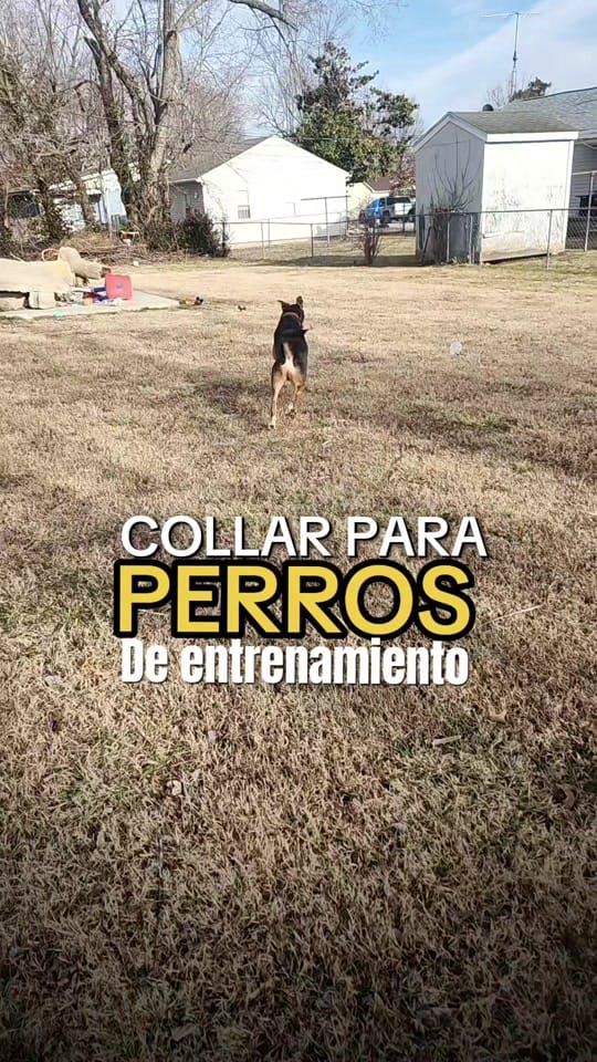 Post 5 by Antonio Astorga | Social Media on TikTok (video)