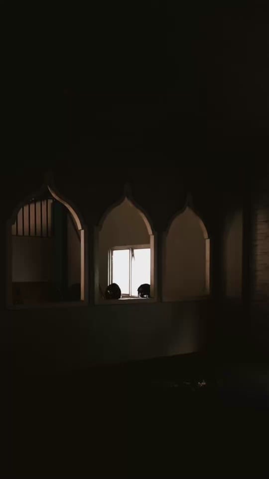 Post 3 by Elanur on TikTok (video)