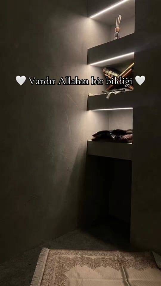 Post 6 by Elanur on TikTok (video)