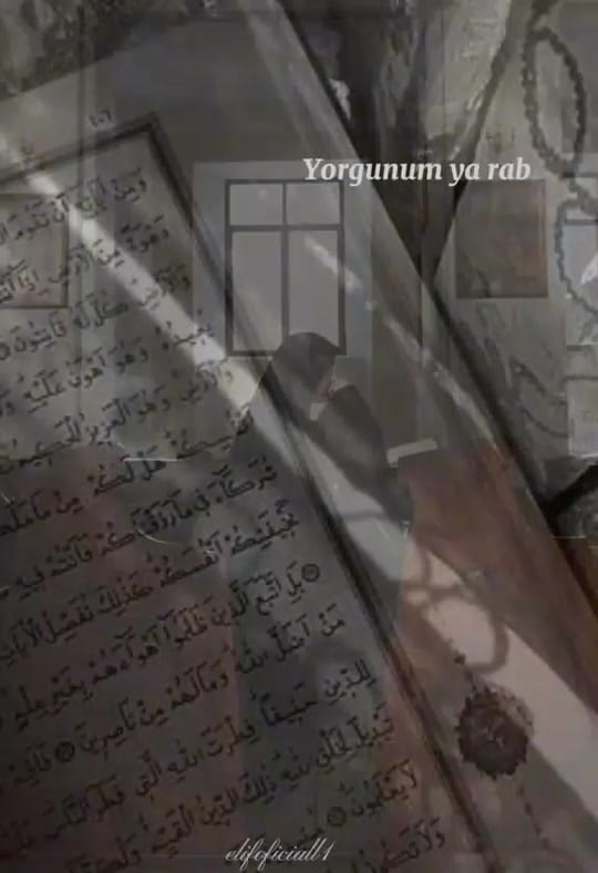 Post 7 by Elanur on TikTok (video)
