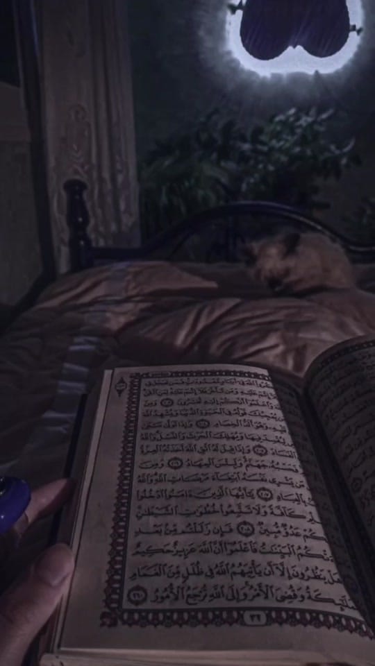 Post 10 by Elanur on TikTok (video)