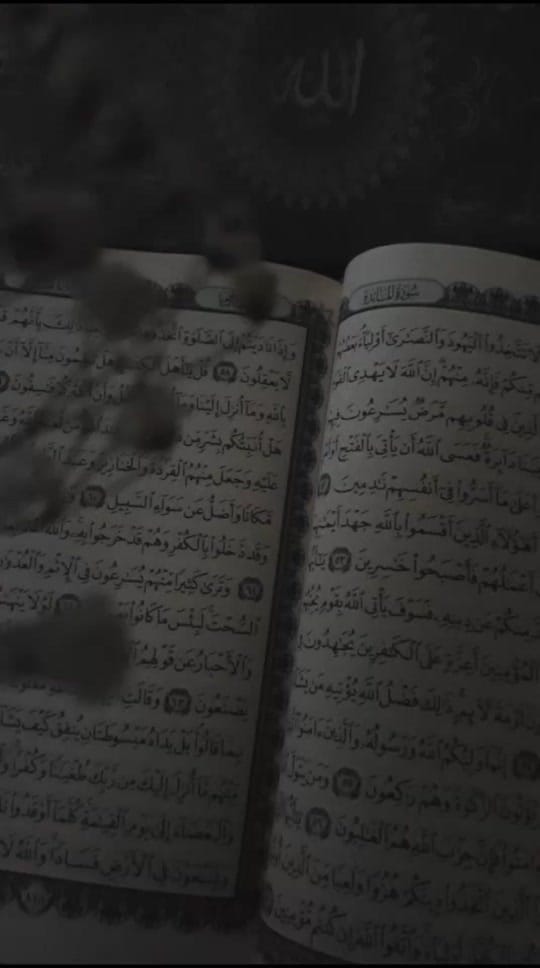 Post 5 by Elanur on TikTok (video)