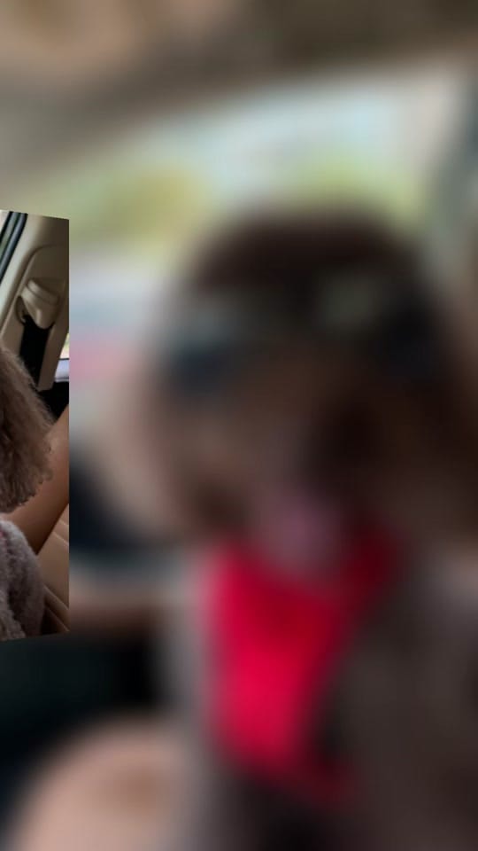 Post 1 by ZB on TikTok (video)
