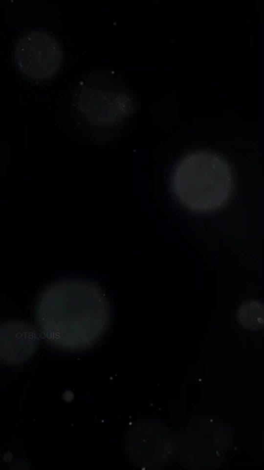 Post 6 by leonie on TikTok (video)