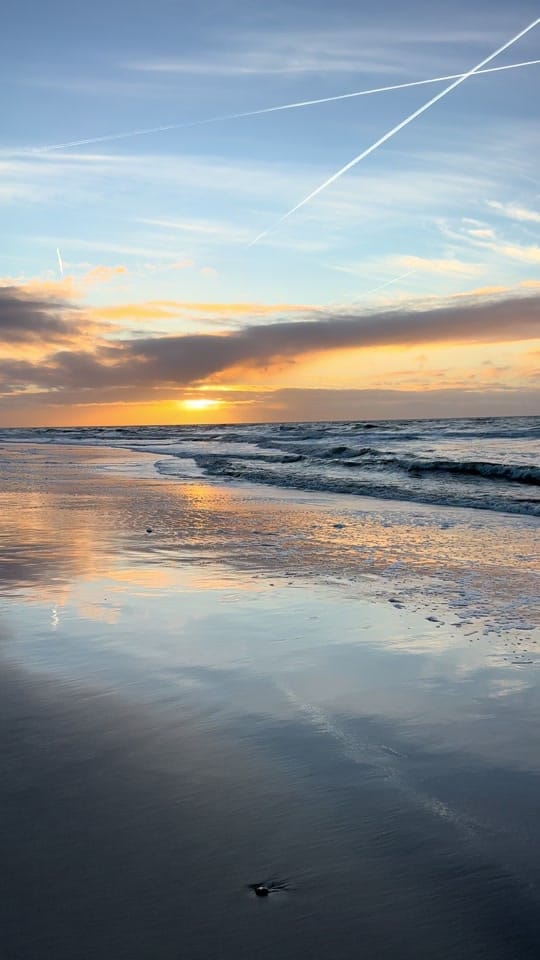 Post 3 by Die Betreuerin on TikTok (video)