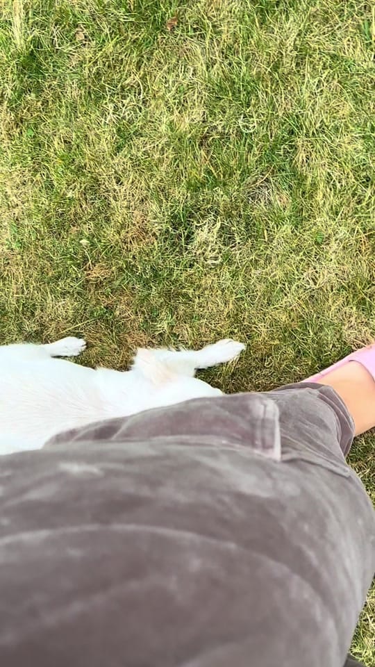 Post 6 by Die Betreuerin on TikTok (video)