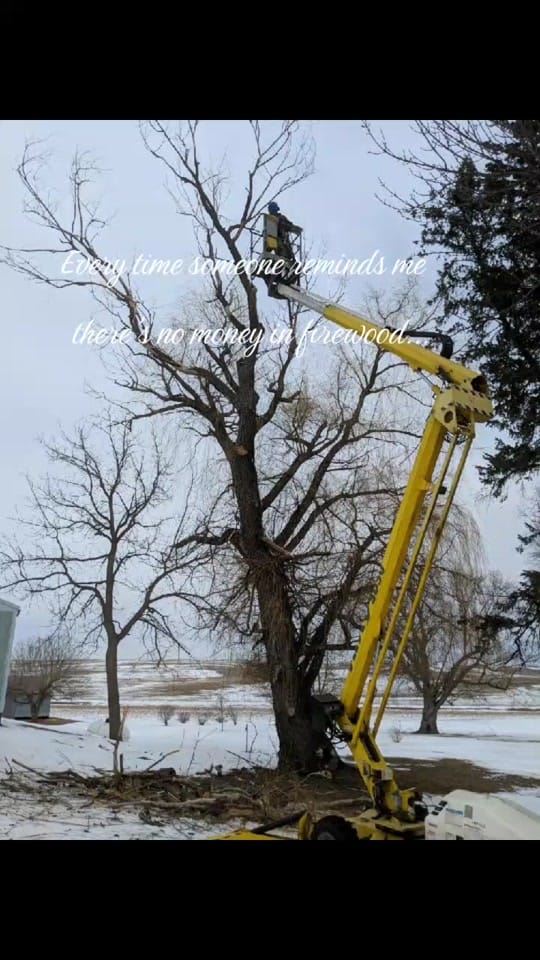 Post 4 by Paul Bunyan on TikTok (video)