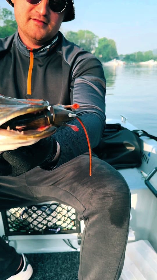 Post 9 by FRANZ-FISHING VIDEO🎥 on TikTok (video)