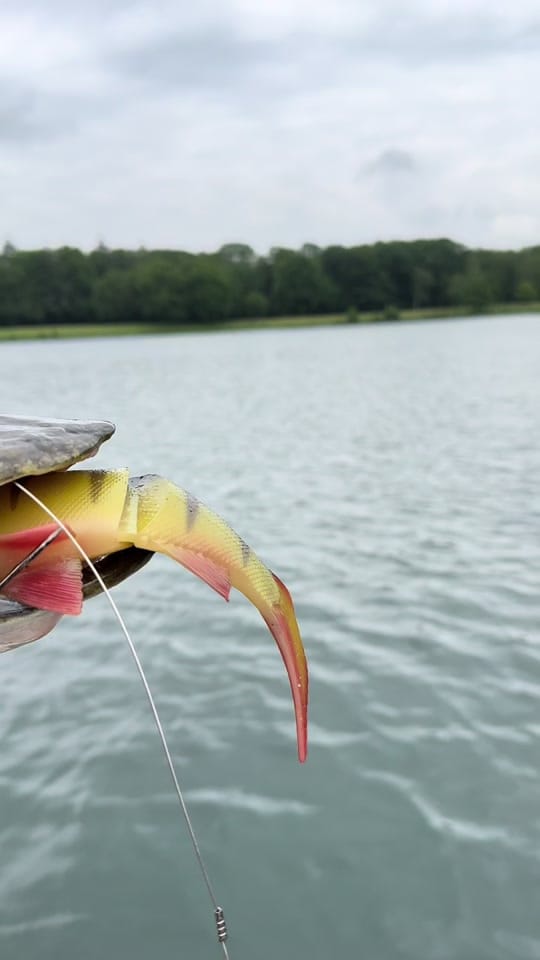Post 8 by FRANZ-FISHING VIDEO🎥 on TikTok (video)