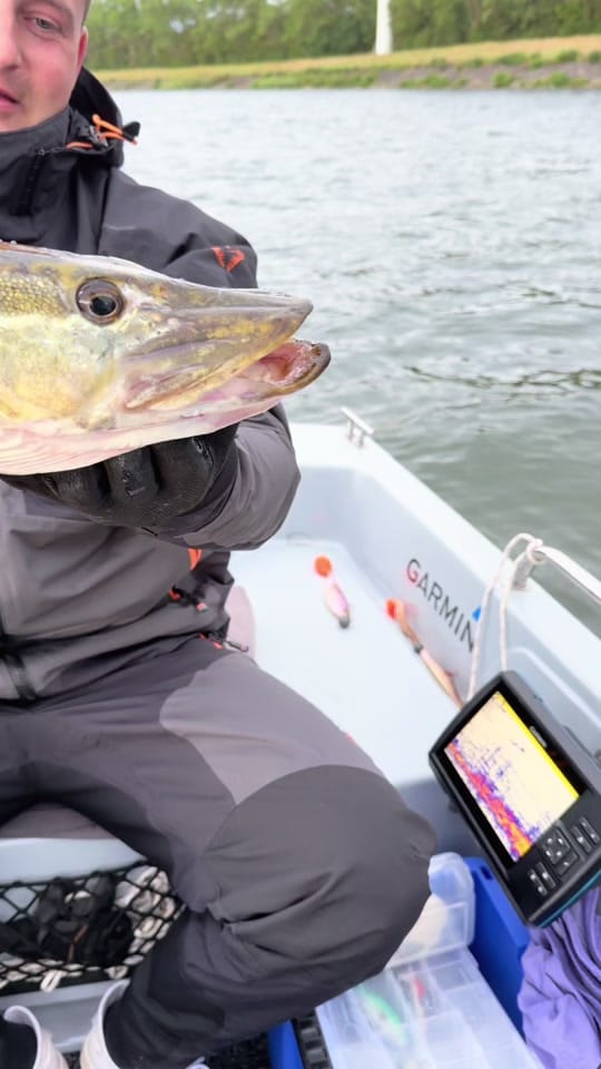 Post 1 by FRANZ-FISHING VIDEO🎥 on TikTok (video)