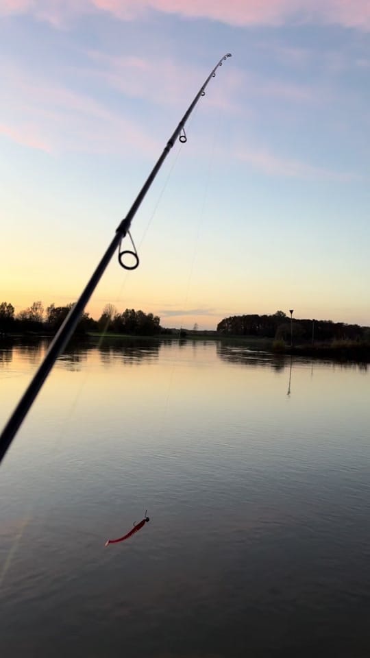 Post 7 by FRANZ-FISHING VIDEO🎥 on TikTok (video)
