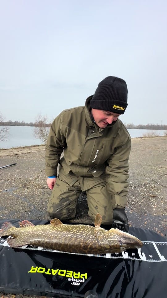 Post 2 by FRANZ-FISHING VIDEO🎥 on TikTok (video)