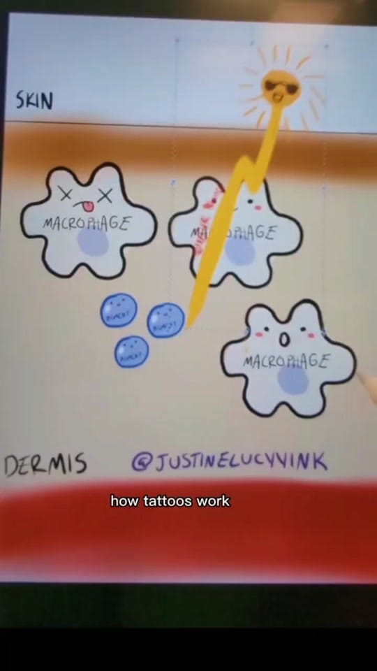 Post 10 by Justine Lucy on TikTok (video)
