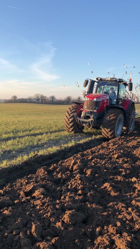 Post 10 by schwansen.agrar 🦢 on TikTok (video)