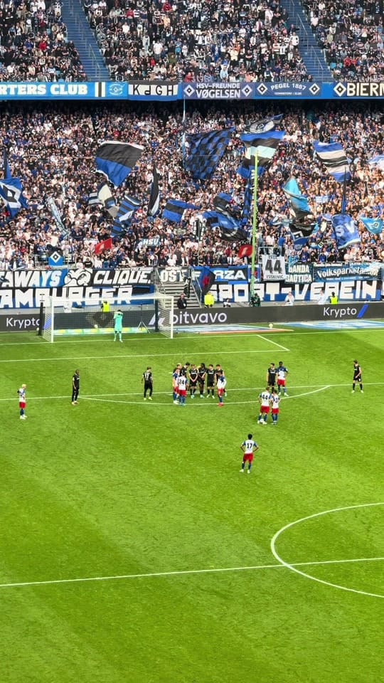 Post 3 by hsv.alsterwelle on TikTok (video)