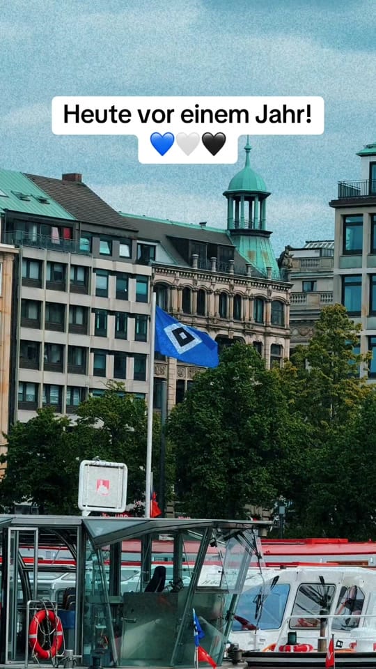 Post 6 by hsv.alsterwelle on TikTok (video)