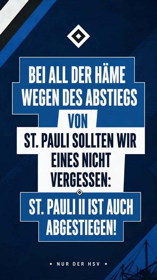 Post 8 by hsv.alsterwelle on TikTok (video)