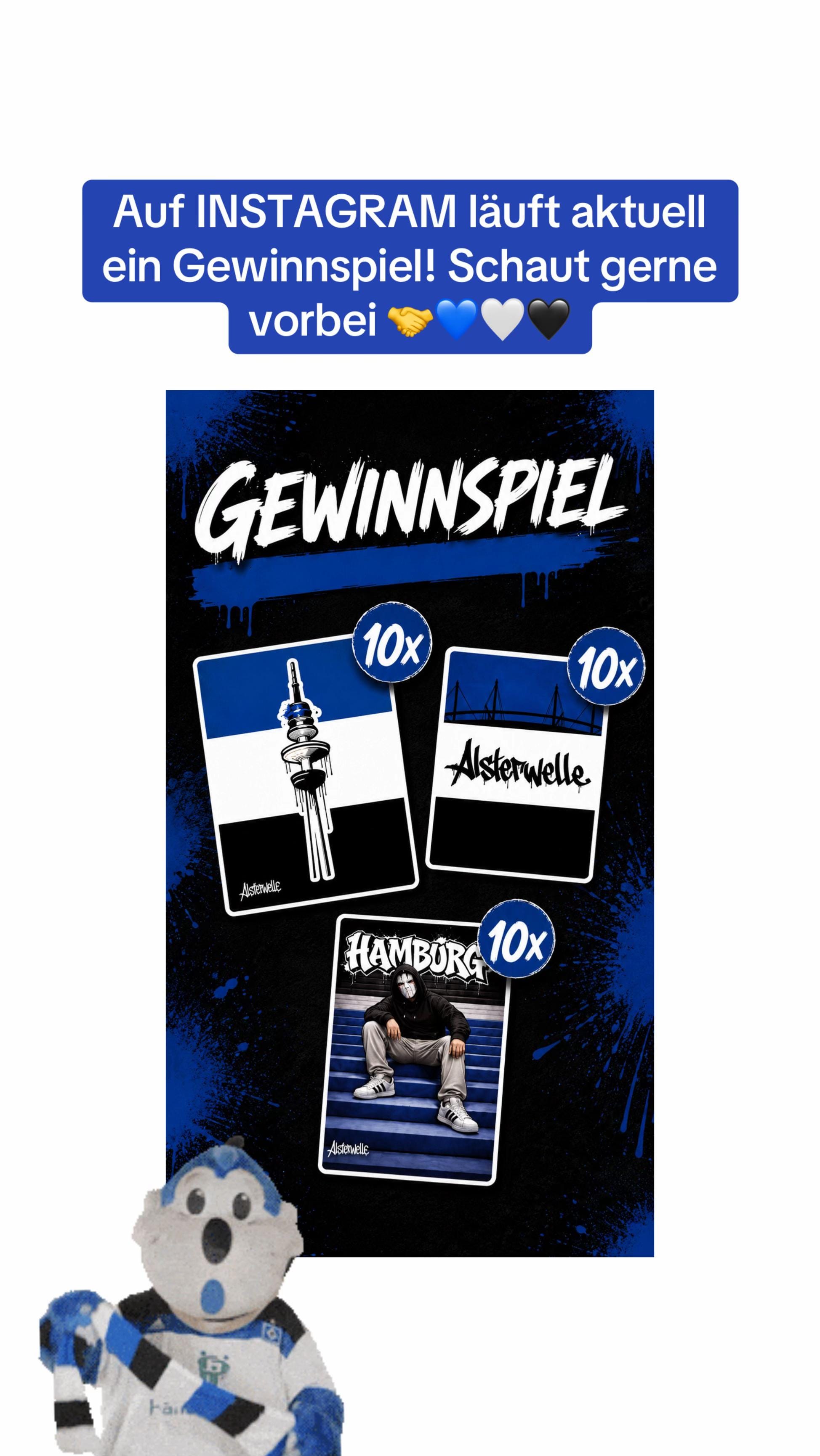 Post 7 by hsv.alsterwelle on TikTok (video)