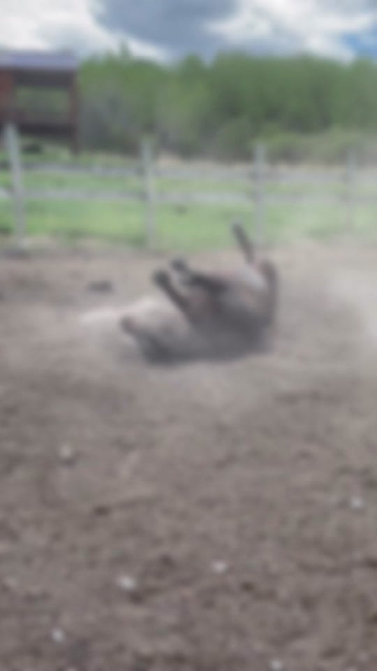 Post 6 by Sarah Hubbard on TikTok (video)