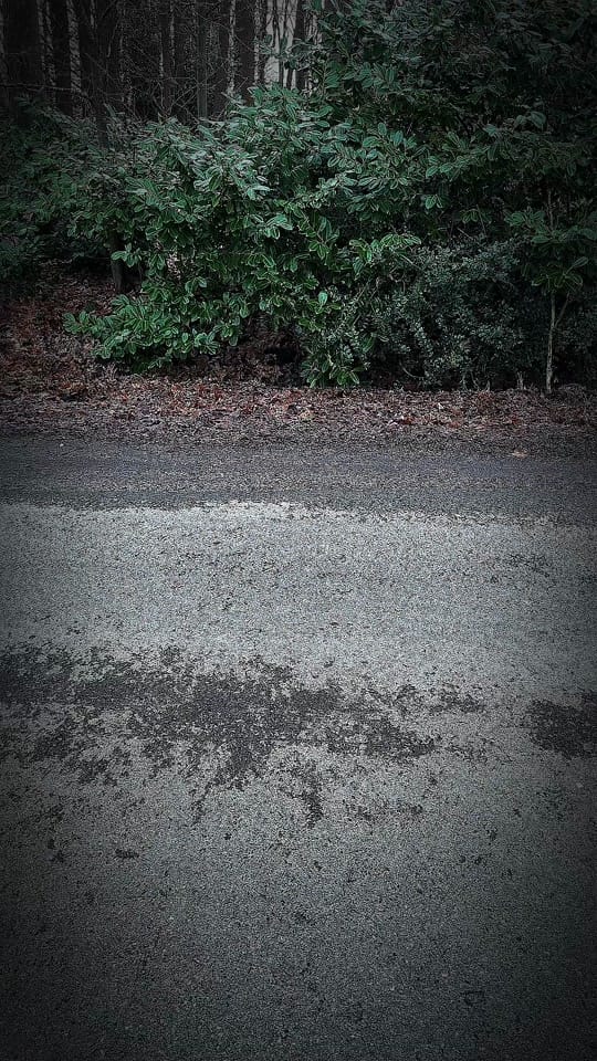 Post 8 by Jan Huesemann on TikTok (video)