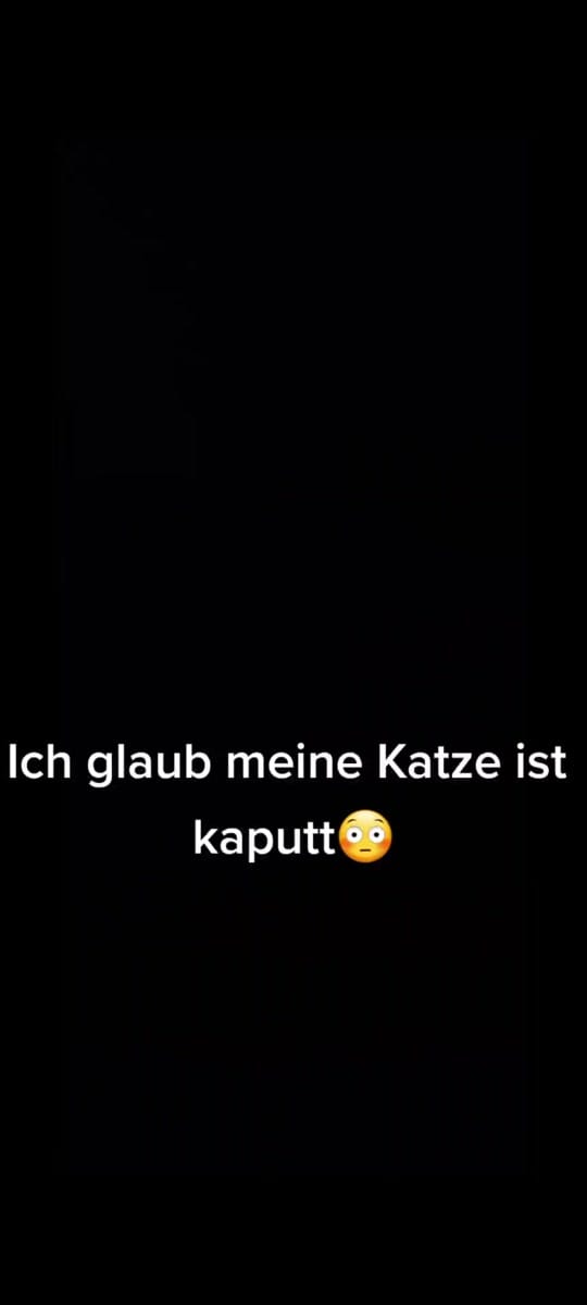 Post 6 by Viralvids on TikTok (video)