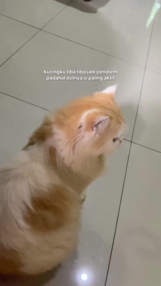 Post 3 by tiara🪿 on TikTok (video)