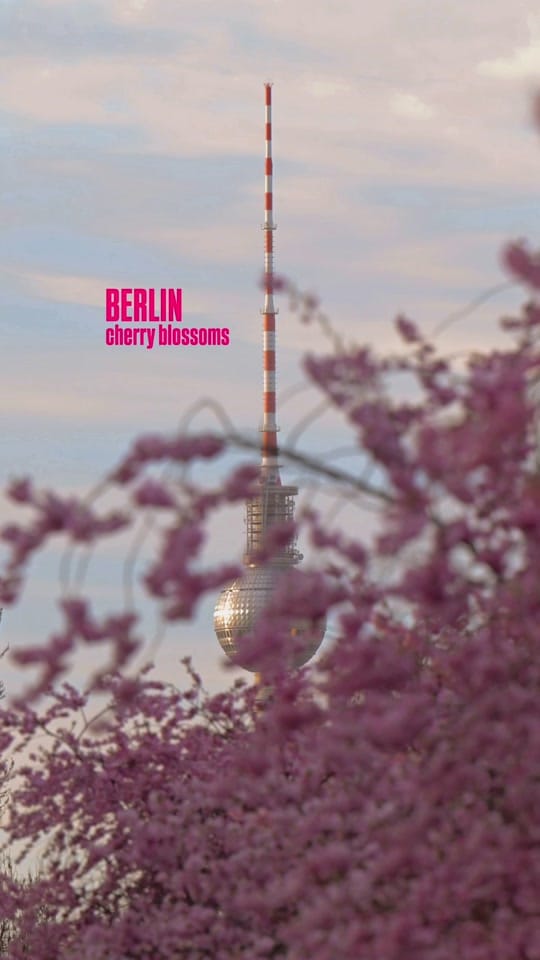 Post 5 by ZERLETTI | Berlin on TikTok (video)