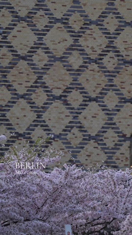 Post 6 by ZERLETTI | Berlin on TikTok (video)