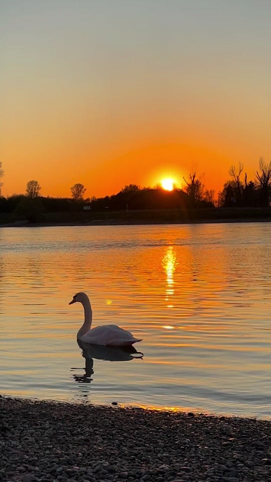 Post 8 by MANAR on TikTok (video)