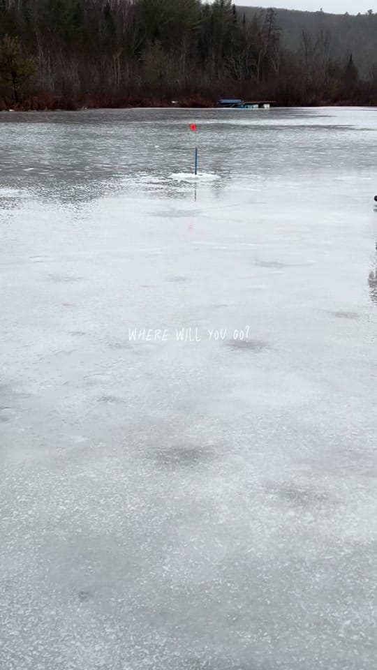 Post 6 by Andrea on TikTok (video)