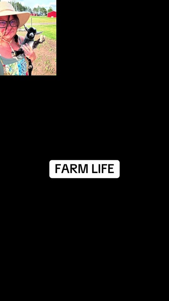 Post 5 by SammieBee 🐝 on TikTok (video)