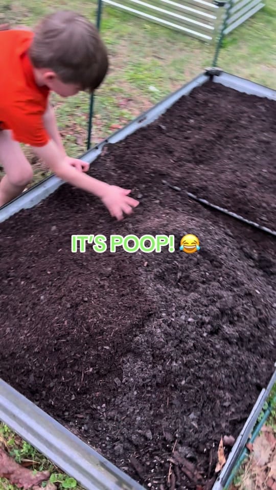 Post 6 by SammieBee 🐝 on TikTok (video)