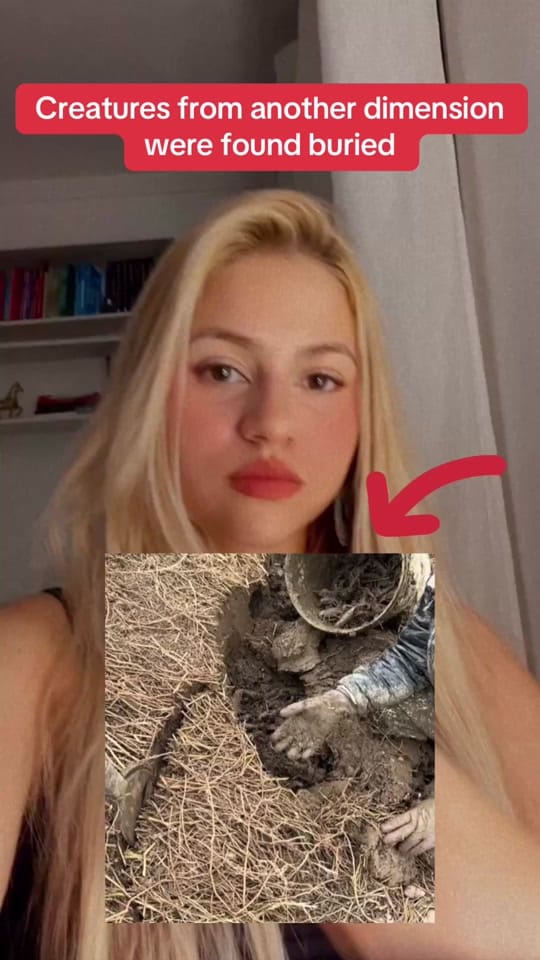 Post 1 by Isabellastrangefacts on TikTok (video)