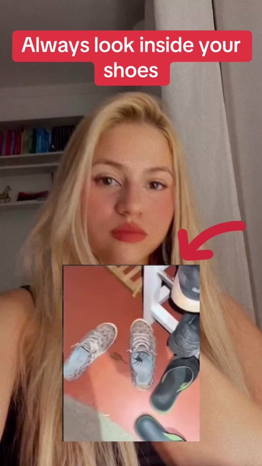 Post 2 by Isabellastrangefacts on TikTok (video)