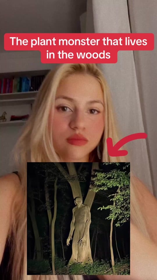 Post 6 by Isabellastrangefacts on TikTok (video)