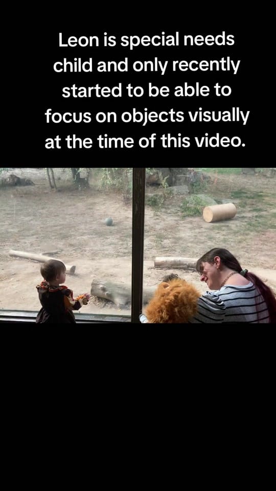 Post 6 by Challis on TikTok (video)