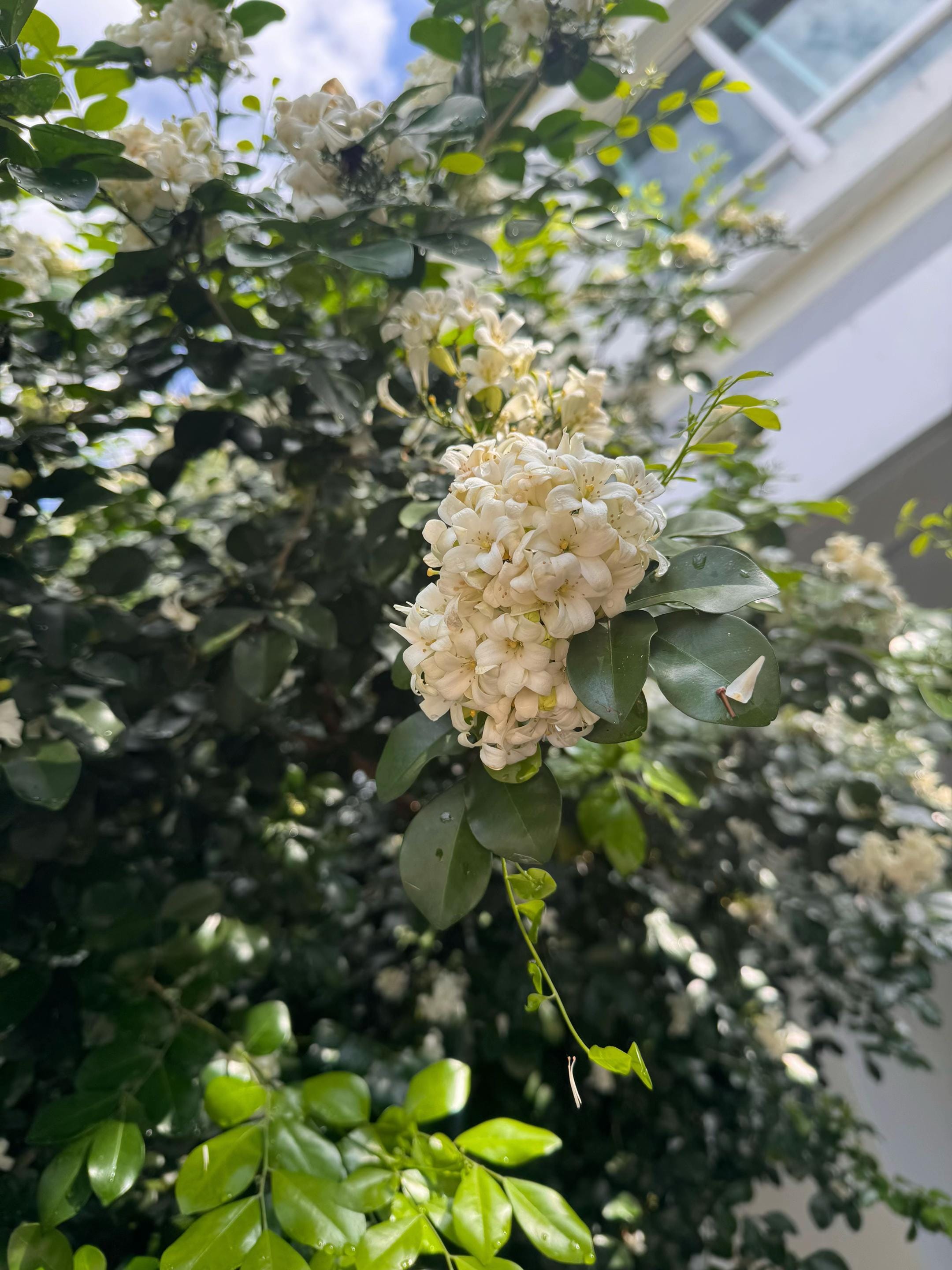 Post 1 by JTJB on TikTok (video)