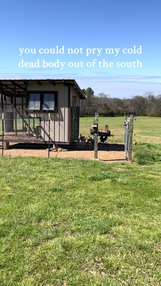 Post 2 by Lexi on TikTok (video)