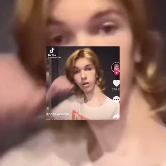 Post 9 by Crop on TikTok (video)