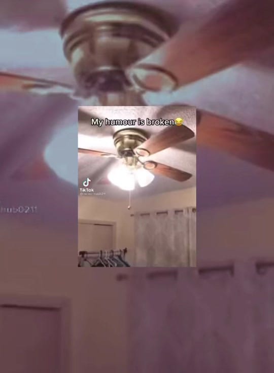 Post 2 by Crop on TikTok (video)