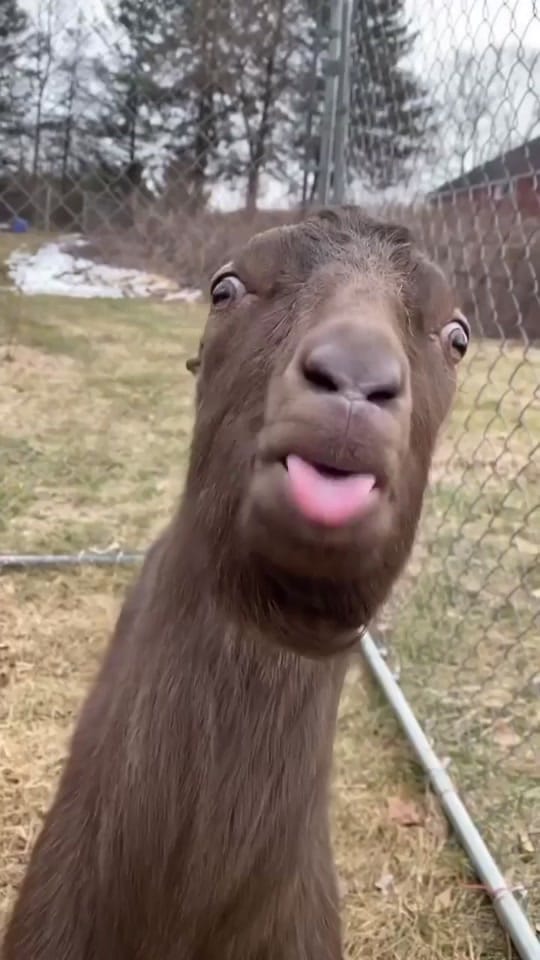 Post 4 by 🎀KATERINKA🎀 on TikTok (video)