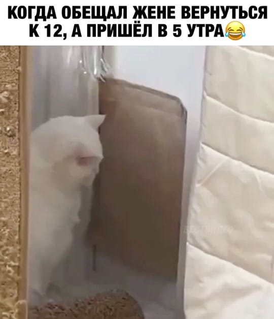 Post 2 by 🎀KATERINKA🎀 on TikTok (video)