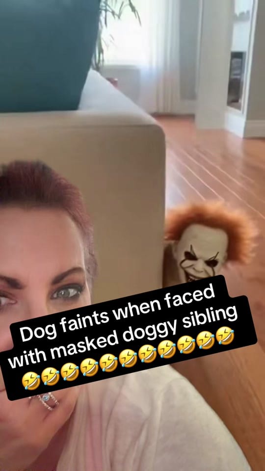 Post 5 by MadisonMoody1975 on TikTok (video)