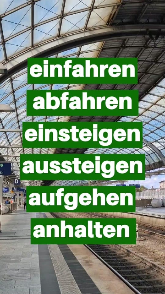 Post 8 by Deutsch24 on TikTok (video)