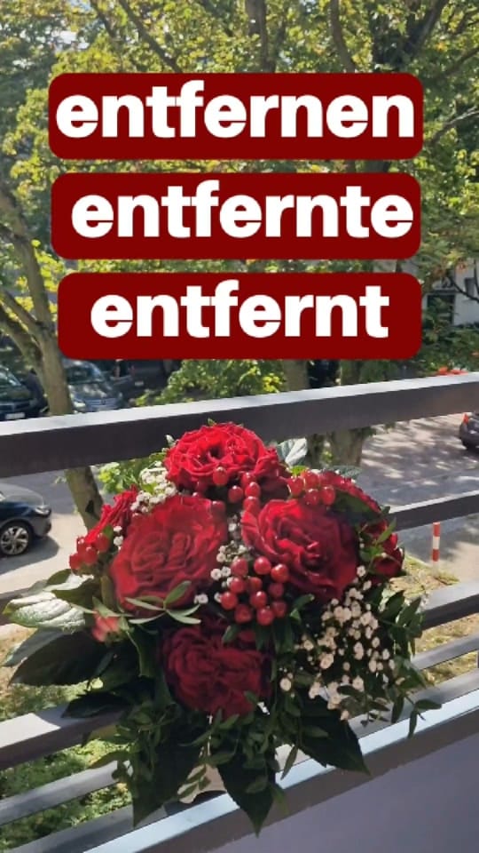Post 4 by Deutsch24 on TikTok (video)