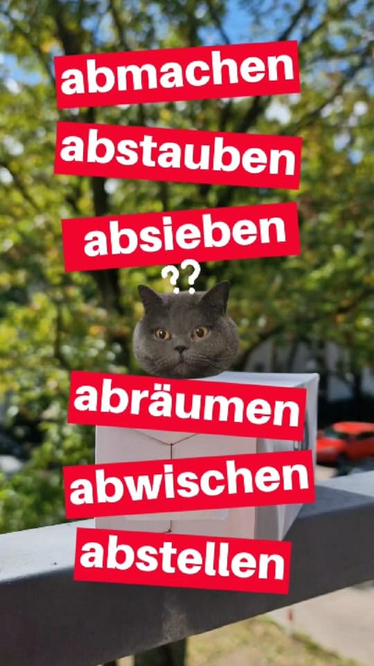 Post 9 by Deutsch24 on TikTok (video)