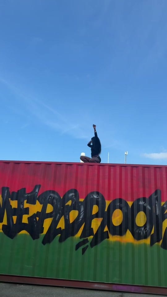 Post 9 by Acetee 🦅 on TikTok (video)