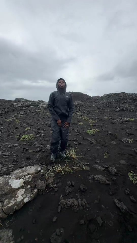 Post 1 by Acetee 🦅 on TikTok (video)