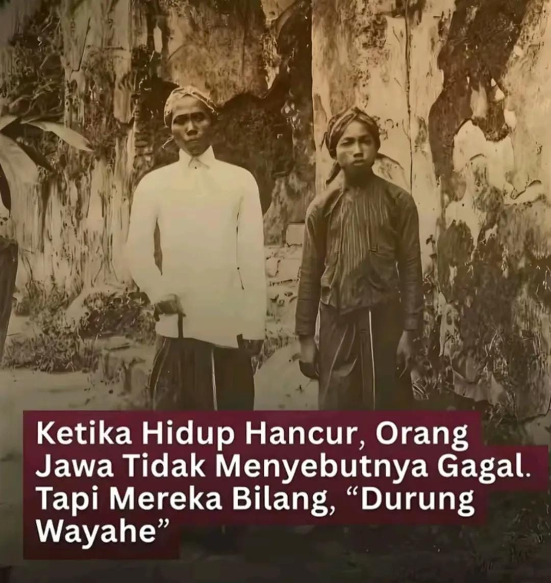 Post 1 by zenggg on TikTok (video)